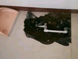 点军卫生间测漏水多少钱